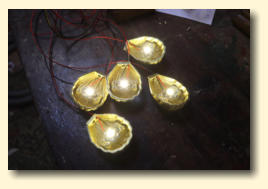 Five illuminated miniature shell lamps showing the LEDs